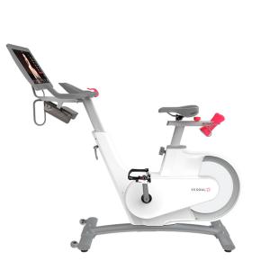 Купить Велотренажер Yesoul BV1-W PLUS в Елеце 